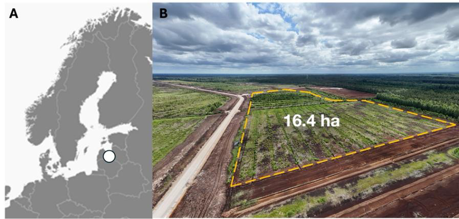 Botanica – La Flora peatland restoration pilot site, Latvia (16.4 ha), aerial view