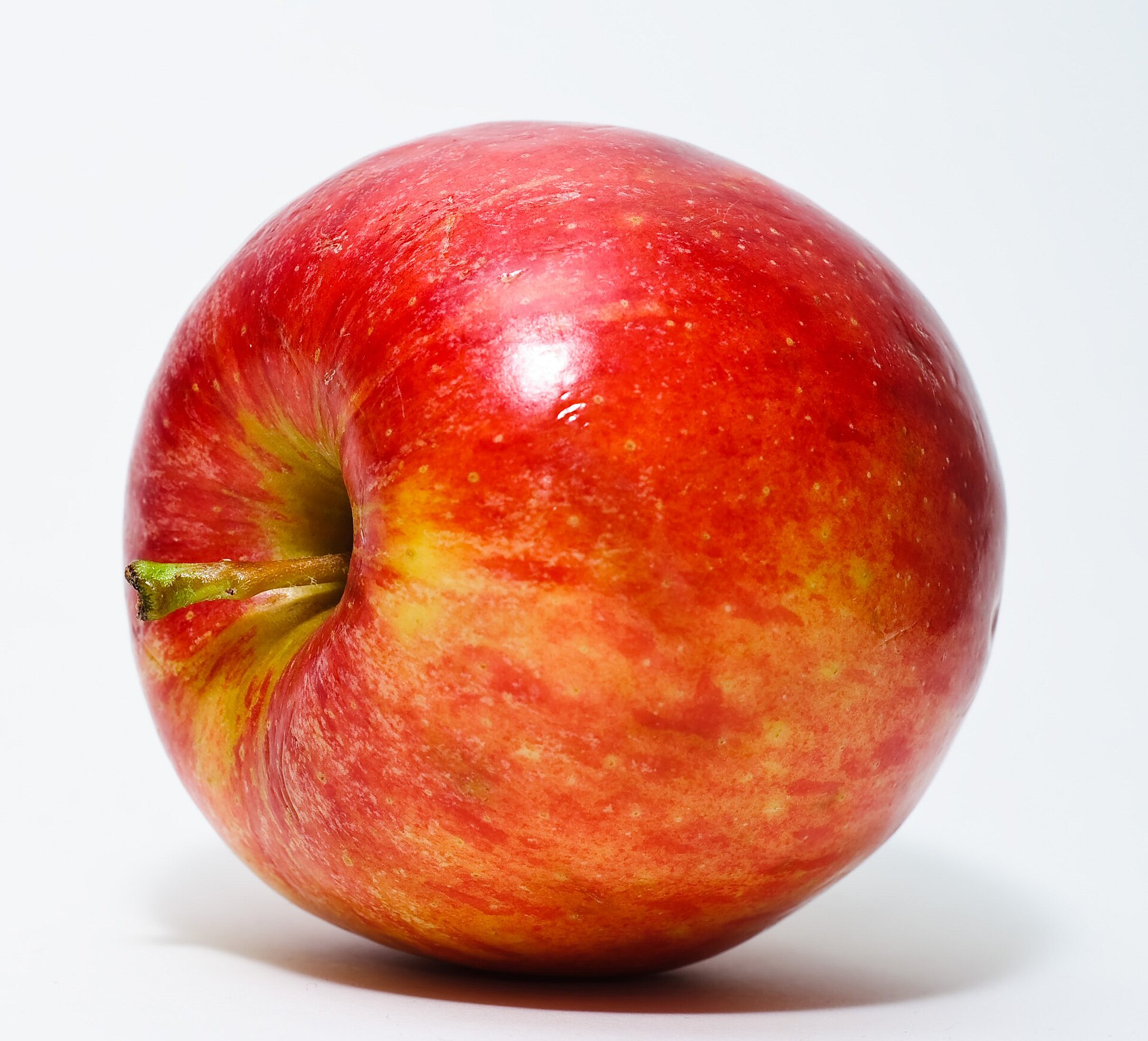 Apple (Malus domestica)