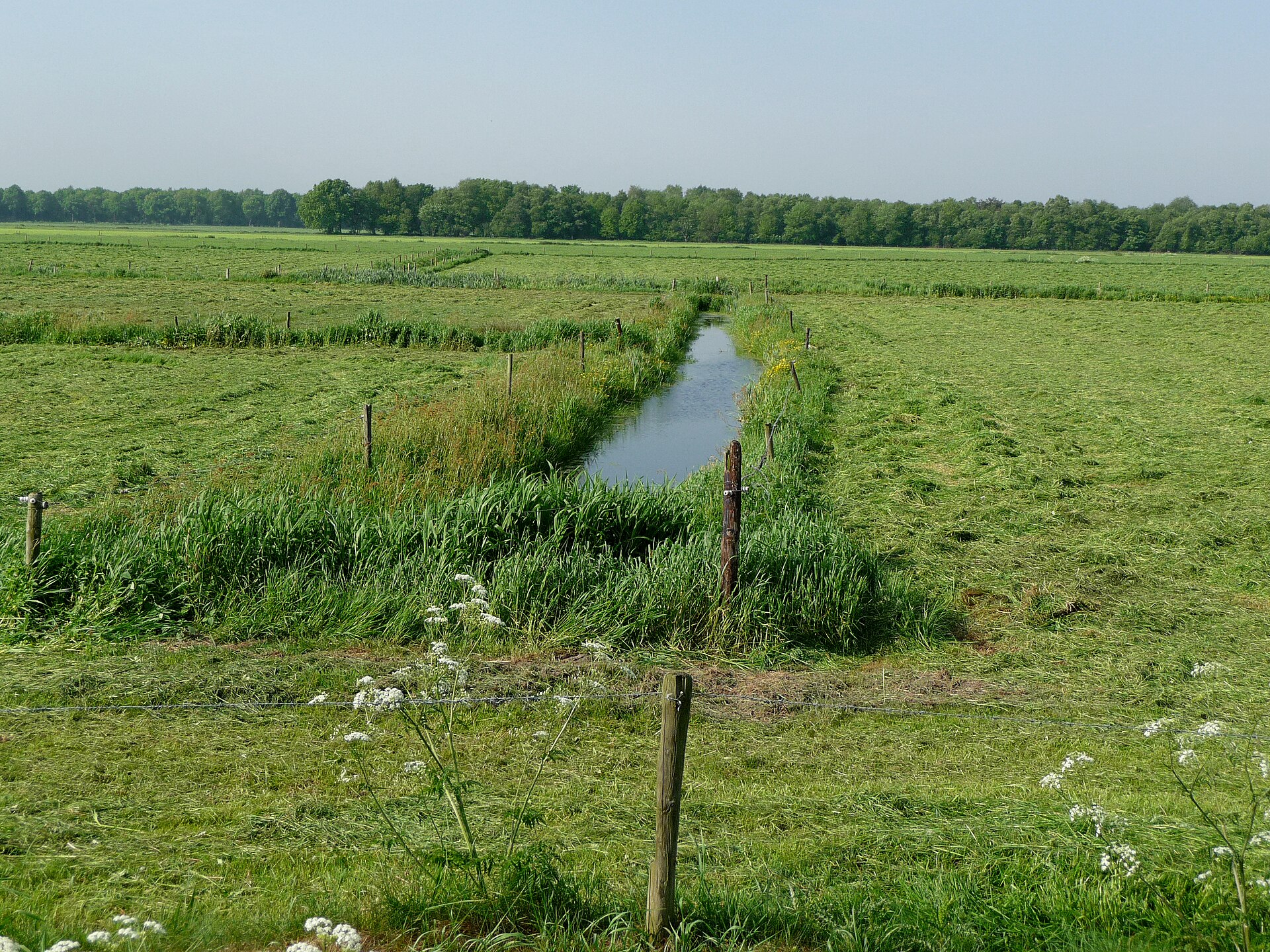 Peat landscapes landscape